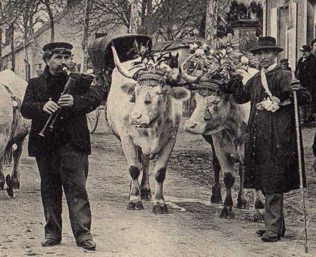 A Boeuf Gras process in Lurcy-Lévis, France sometime before 1914.