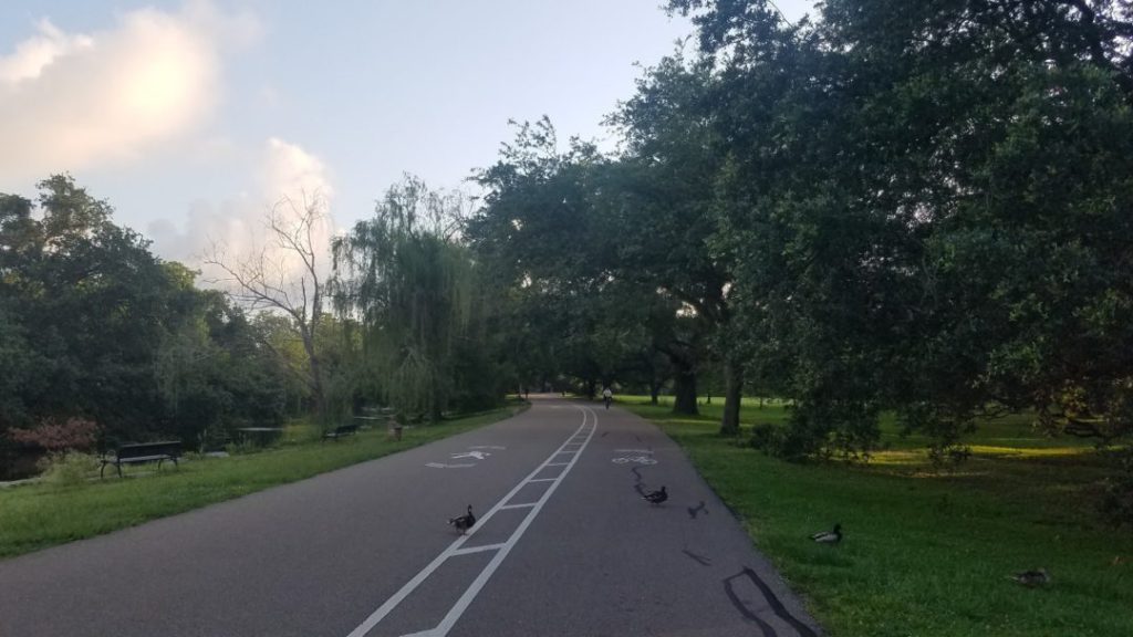 Audubon Park today. Ducks cross the inner loop as cyclists and joggers get their morning exercise. The entire park (plus The Fly and the zoo) were the grounds for the 1884 World’s Fair.