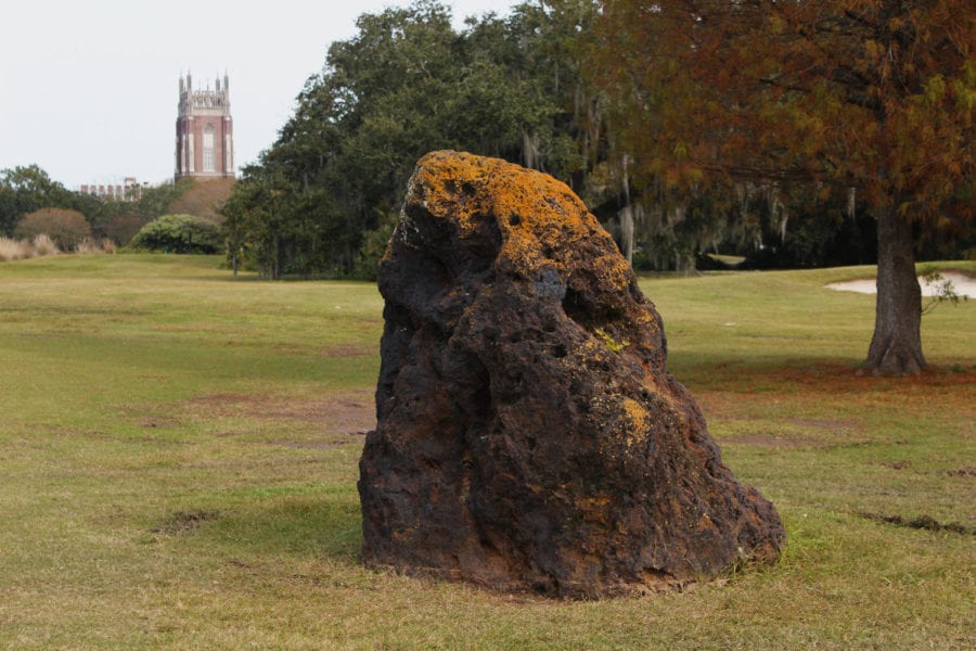 The famous boulder (or is it a meteorite?) from the Alabama State exhibit during the 1884 World’s Fair. Why it remains in Audubon Park today is a mystery.
